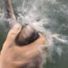 "Kijote Fumando"