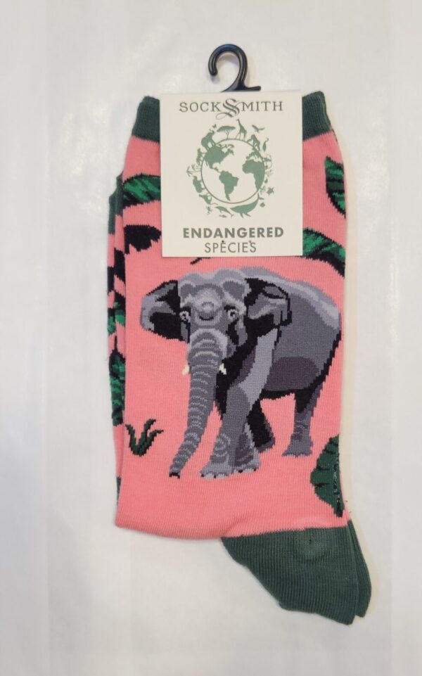 Asian Elephant (rosa)