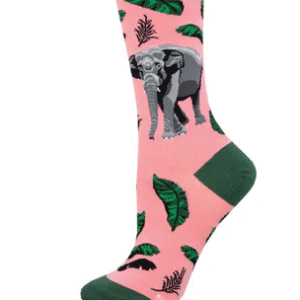 Asian Elephant (rosa)