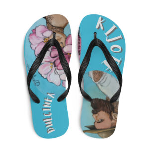 Chanclas: kijote y dulcinea